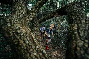 BIB: 
                            <button type="button" onclick="openModal(25392515)" class="btn btn-primary btn-sm float-right btn-popup" data-toggle="modal" data-target=".modal-high-quality">
                        <i class="fas fa-shopping-cart"></i> Add to Cart
                    </button>
                                            <button type="button" onclick="isThisMe(25392515, true)" class="btn btn-success btn-sm float-right btn-popup btn-isme hidden" data-toggle="tooltip" data-placement="bottom" title="นี่คือรูปของคุณใช่ไหม คลิกที่นี่เพื่อเอาเข้าอัลบั้ม">
                        <i class="fas fa-plus"></i> Add to album
                    </button>
                    <button type="button" onclick="isThisMe(25392515, false)" class="btn btn-warning btn-sm float-right btn-popup btn-isnotme hidden">
                        <i class="fas fa-ban"></i> Remove from album
                    </button>